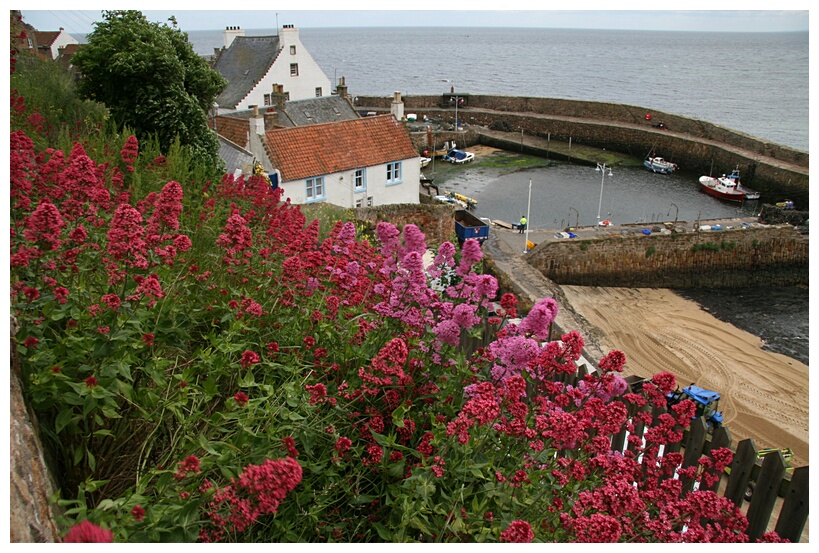 Crail