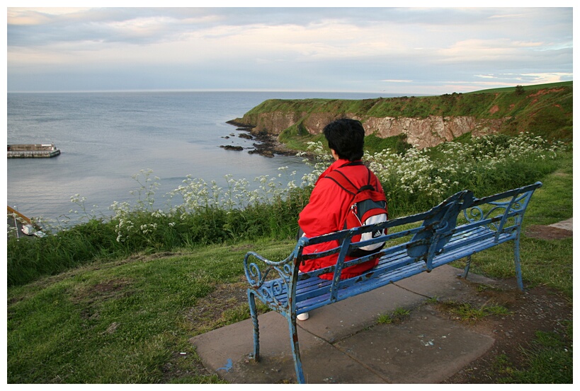 Stonehaven view