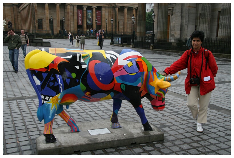 Modern cow