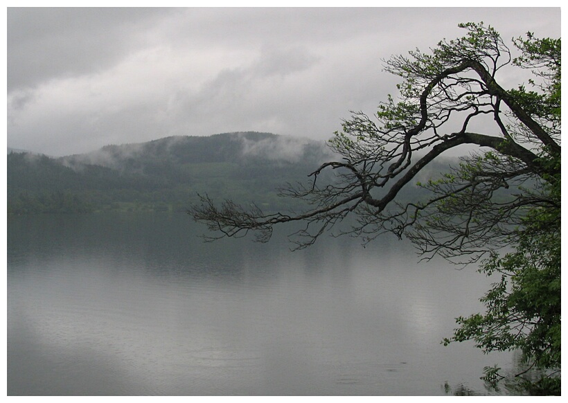 Foggy day