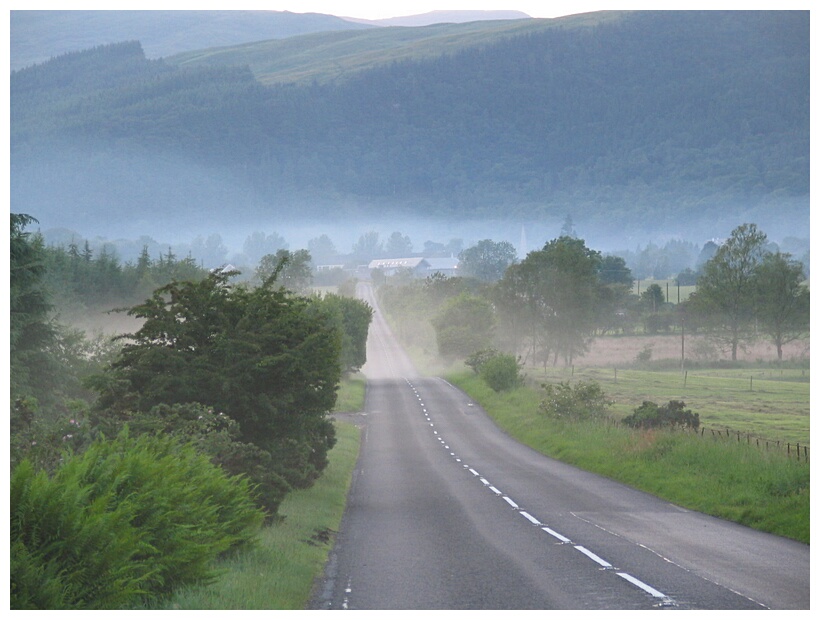 Foggy Road