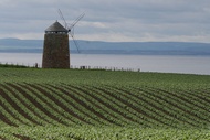 Windmill
