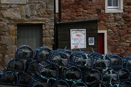 Crail Harbour detail