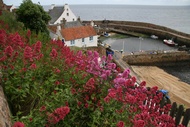 Crail