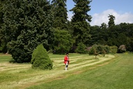 Scone Gardens