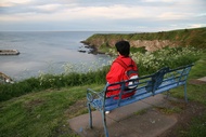 Stonehaven view