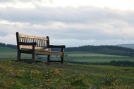 Lonely bench