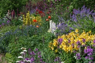 Flowers in Crathes Castle
