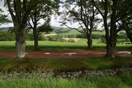 Scottish landscape