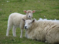 Mother and son