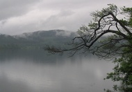 Foggy day