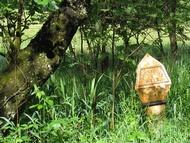 The Trossachs Trail