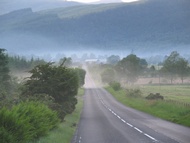 Foggy Road
