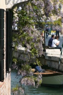 Flowered Canal