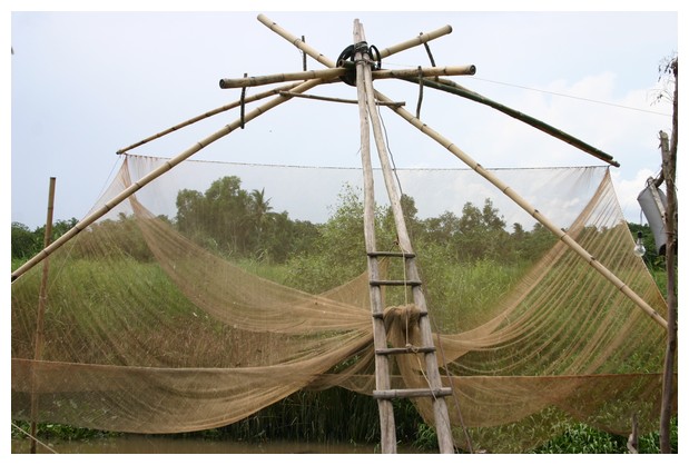 Fishing Net