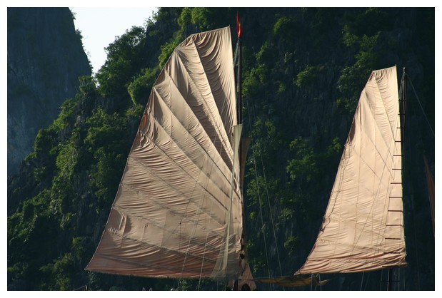 Sail of Junk