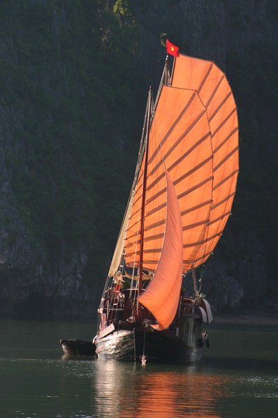 Traditional Junk