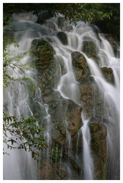 Cat Cat Cascade