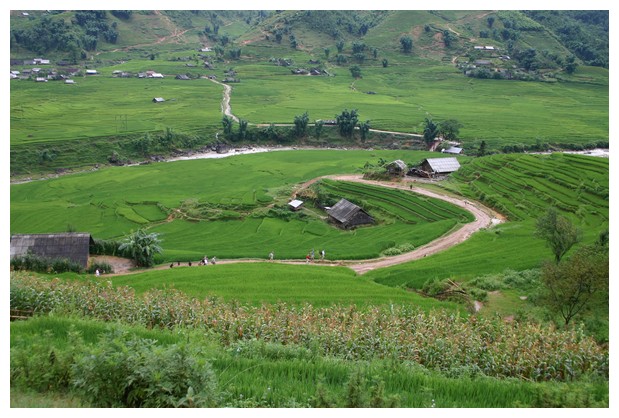Downhill trekking