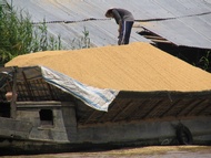Rice Boat