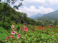SaPa View