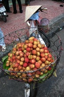 Lychees