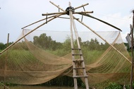 Fishing Net
