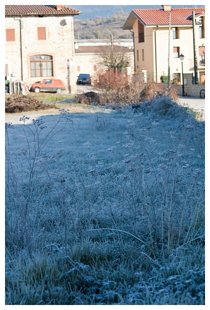 Campo Escarchado