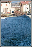 Campo Escarchado