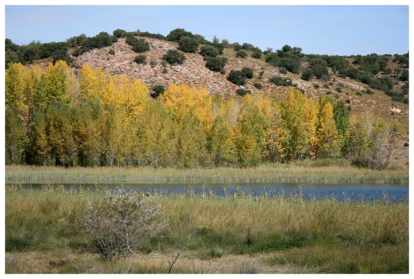 Paisaje Lacustre