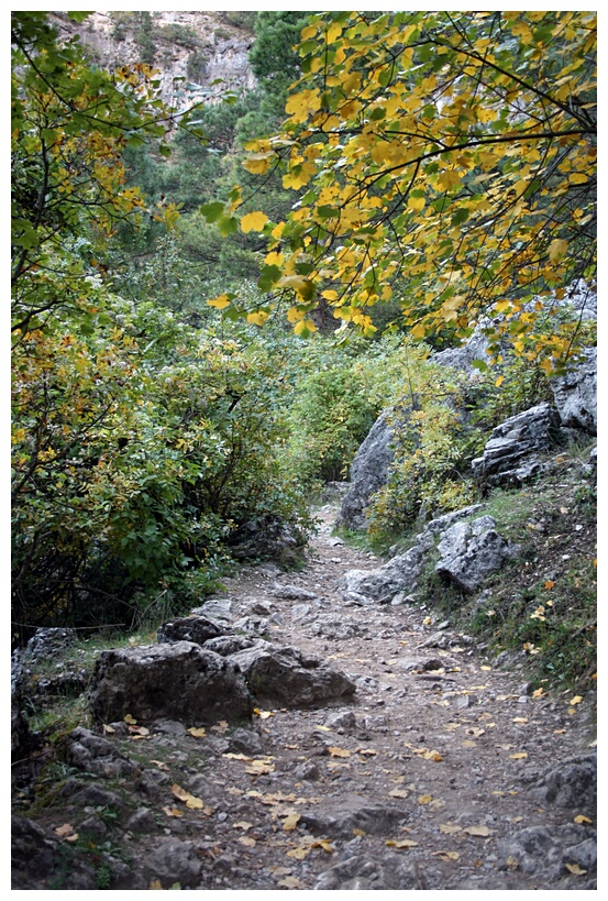 Camino al Ro Mundo