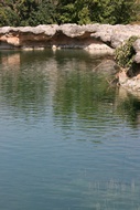 Orilla Escarpada