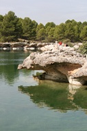 Barrera Tobcea
