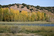 Paisaje Lacustre