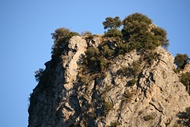 Pinares