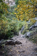 Camino al Ro Mundo