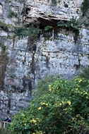 Rocas Grisceas