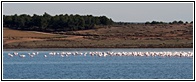 Complejo Lagunar