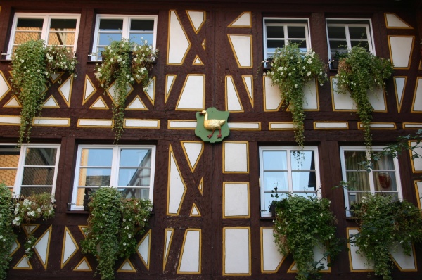 Half Timbered Houses