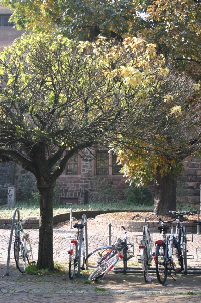 Heidelberg Street Scene