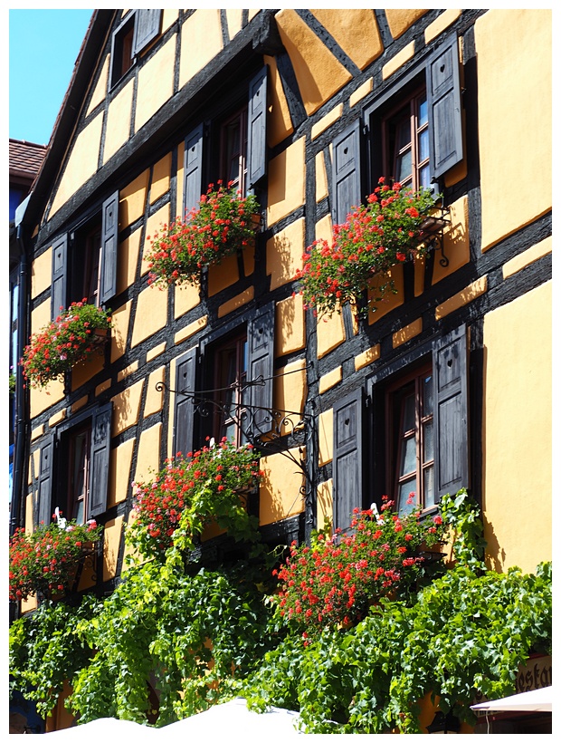 Riquewihr