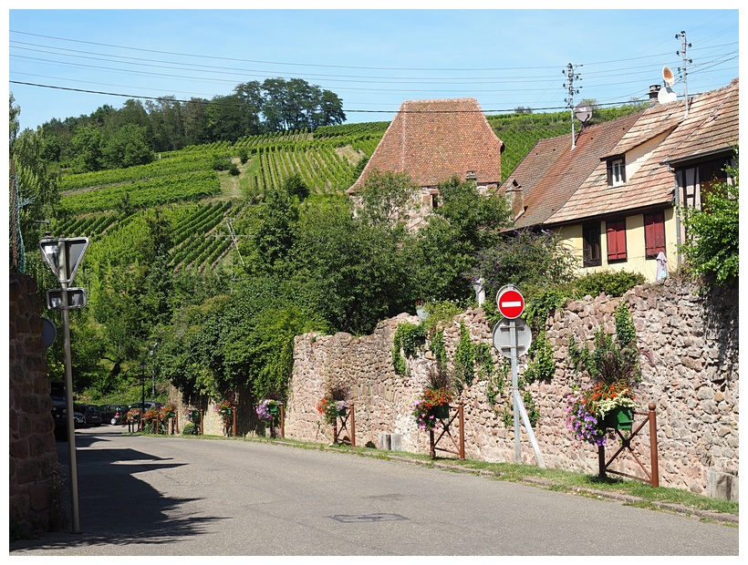 Riquewihr