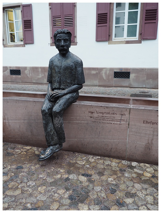 Albert Schweitzer 