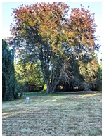 Parc de la Ppinire