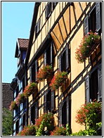 Riquewihr
