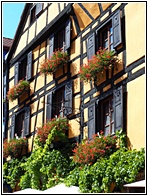 Riquewihr