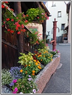 Niedermorschwihr
