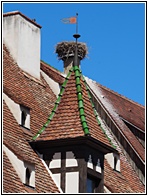 Obernai