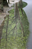 After the Rain