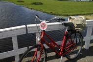 Rented Bike